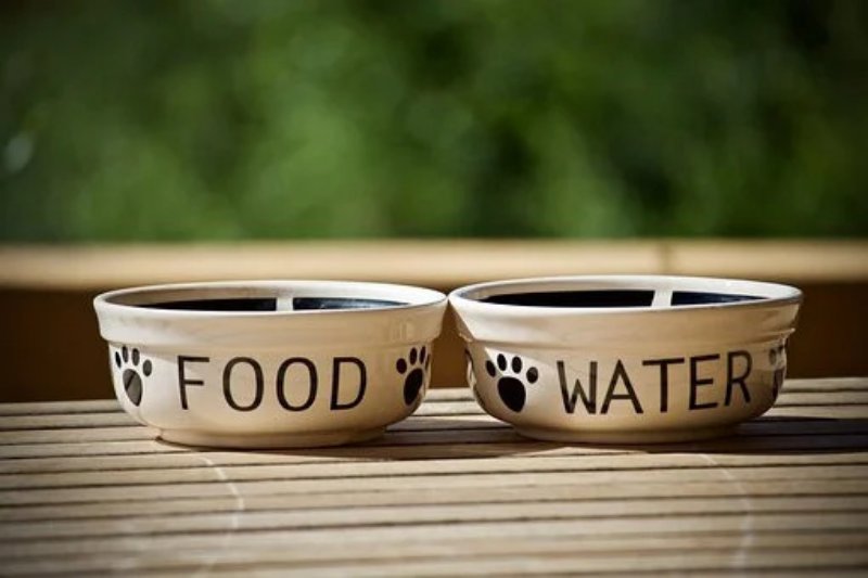 Hundenäpfe: Food & Water 