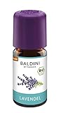 Baldini - Lavendelöl Bio, 100% Naturreines Ätherisches Bio Lavendel Öl Fein Aus Frankreich, Bio Aroma, 5 Ml