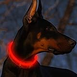 Fttouuy LED Leuchthalsband Hunde Halsband USB wiederaufladbar - Längenverstellbarer Haustier Sicherheit Kragen für Hunde und Katzen - 3 Modus (Rot)