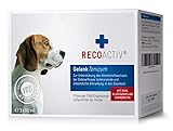 RECOACTIV Gelenk Tonicum für Hunde, 3 x 90 ml, Diät-Ergänzungsfuttermittel bei degenerativen Gelenkserkrankungen, mit Grünlippmuschel, Glucosamin, Chondroitinsulfat, MSM, Teufelskralle & Omega-3