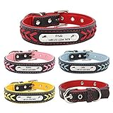 Gredstar Halsband Hund Personalisierte Hundehalsbänder mit D-Ring Leder Hundehalsband Namensschild