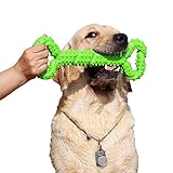Robustes Hundespielzeug 13 Inch Knochen geformt Kauspielzeug aus Hartgummi mit Konvexes Design stark interaktives Spielzeug für große kleine Hunde, Zähne reinigen und Zahnfleisch massieren