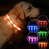 MASBRILL LED Leuchthalsband für Hunde USB Aufladbar Wasserdichtes Hundehalsband Leuchtend Längenverstellbarer Haustier Sicherheit Halsband mit 3 LED-Modi für Klein Mittlere Große Hunde, Orange M