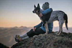 Hund auf einem Berg
